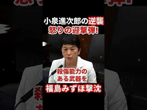 大嘘議員に正義の鉄槌! #小泉進次郎 #福島みずほ #５類型撤廃 #武器輸出 thumbnail