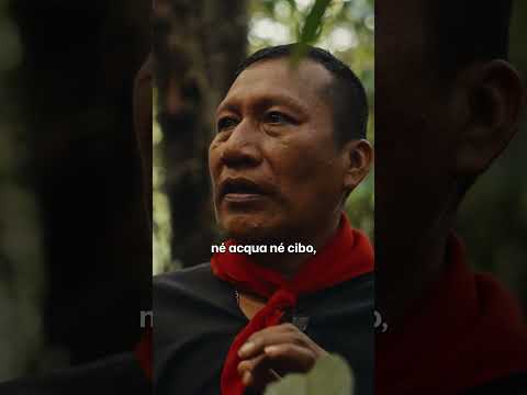 Mangio le formiche che sanno di limone #shorts #progettohappiness #amazonforest #documentary thumbnail