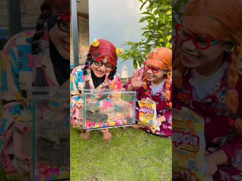 NUR DAN CERY NEMU KURA KURA | NURRAYNI25 thumbnail