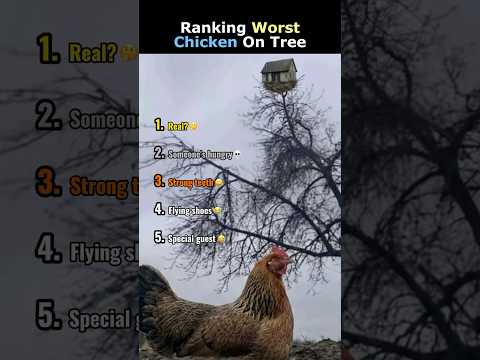 Ranking Worst Chicken On Tree thumbnail