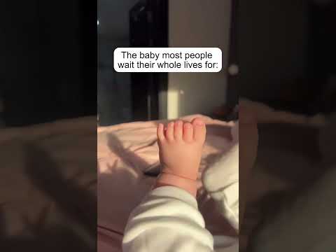 The little drop of pee on his foot is 👌 #pets #baby #chinchilla #cute #petlife thumbnail