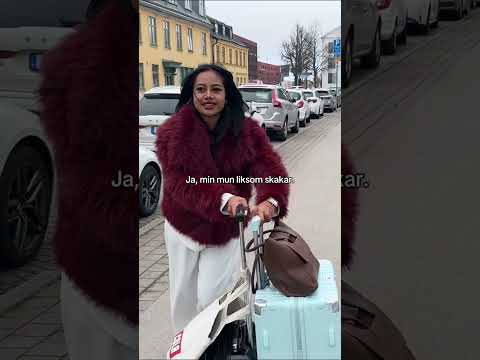 Vi har landat i Sverige! Mod gillar det inte.. thumbnail
