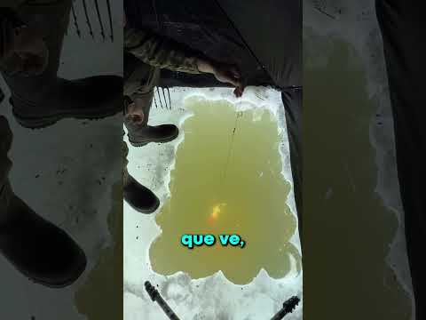 NUNCA CONFÍES EN TUS OJOS AL PESCAR!! 😨 thumbnail