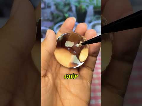 Sự Thật Về Hạt Nở! thumbnail