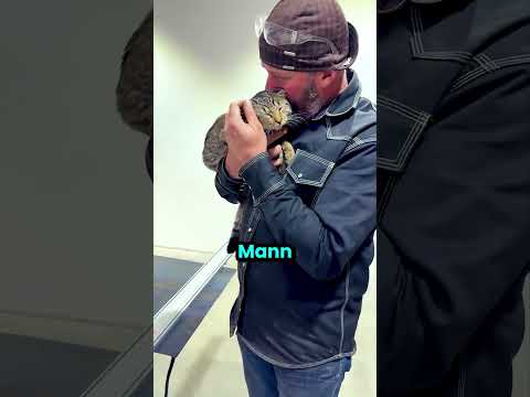 Diese Katze hat dafür gesorgt, dass der Bauer seine Abneigung gegen Katzen überwunden hat! 😭 thumbnail