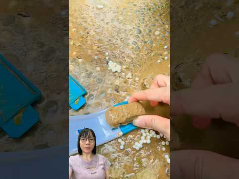Em chưa muốn tắm #trending #trendingshorts #trendingvideo #shorts #shortsviral #viralshorts thumbnail