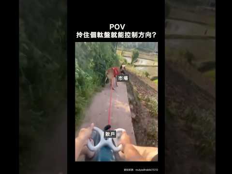 好多嘢都好難預計，最緊要都係要好好保護自己，幫自己建立安全網 #tradingmeme #shorts #107 thumbnail