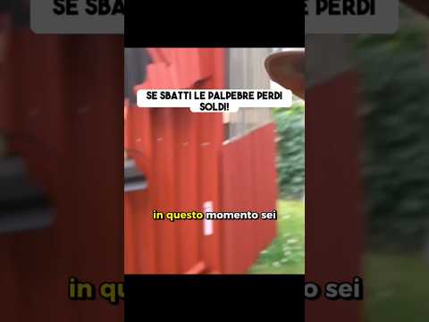 Se sbatti le palpebre perdi soldi 👁️ thumbnail