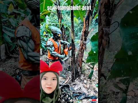 jangan ditebang‼️trangiakiet-pro1 thumbnail