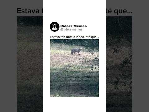 Estava tão bom o vídeo, até que… #shorts #youtubeshorts #viral #fyp #viralshorts #shortsvideo thumbnail