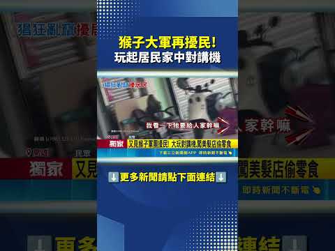 超囂張"猴子軍團"出沒! 闖美髮店.搶零食.玩對講機!?#三立live新聞 #shorts thumbnail