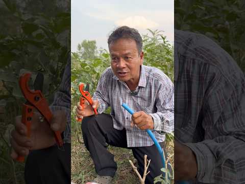 เเค่เอากรรไกรมาตัดสายยาง ยังมีเรื่องให้เสียตัง 🤣 #ช่องโอเล่ #ลุงมีของดี thumbnail