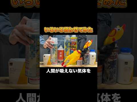 びっくりチキンにいろいろな気体を吸わせて音の変化を観察してみた thumbnail