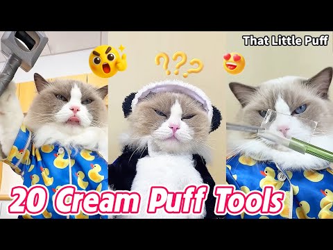 20 Must-Have Cream Puff Tools You’ll Love 🍰🔥| That Little Puff thumbnail
