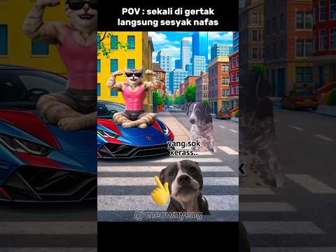 langsung sesyakk nafass #komedi #kucinglucu #hiburan #memes #cat thumbnail