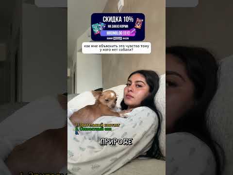 3 знака что собака тебя любит 💕 thumbnail