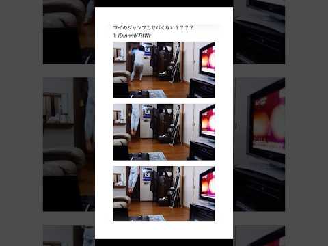 【2ちゃんねる】ワイのジャンプ力がヤバすぎるwww【アフレコ】 thumbnail