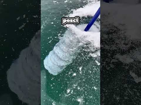 I pesci non potevano respirare? thumbnail