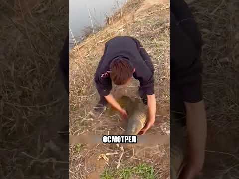 Живот рыбы был СЛИШКОМ ТЯЖЕЛЫМ И ТВЕРДЫМ ДЛЯ ОБЫЧНОГО ВЕСА⚖️?? thumbnail