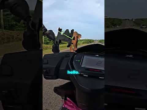 Elephants Are So Kind ❤️ thumbnail