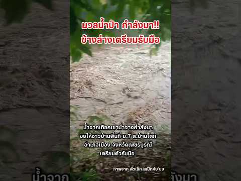 มวลน้ำป่ากำลังมา เตรียมรับมือ 20/5/69 #น้ำท่วม  #เพชรบูรณ์ #น้ำป่าไหลหลาก #shortvideo #shorts thumbnail