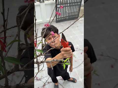 Tỉnh mộng đi hết tết rồi thumbnail