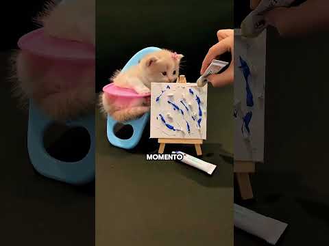 Il gatto ha realizzato il dipinto più carino ?? #viral thumbnail