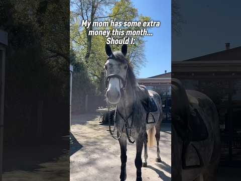 POV: Your owner saved some money 💸🐴 #horses #equestrian #petowner #horse #horsegirl #stallion thumbnail