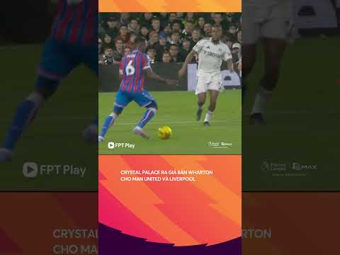 Man United và Liverpool đều đang muốn có Adam Wharton thumbnail