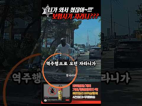 '니가 와서 박았잖아!!' 역주행하더니 고의로 차를 치던 자라니는.. thumbnail