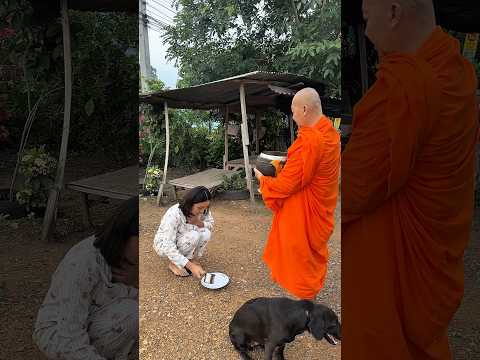 สุขสันต์วันเกิดนะคะ กัญญาภัค เอนกนวล | ทิวลิป กัญญาภัค | tulip kunyapak thumbnail
