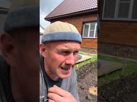 Тёща и картошка😂👍 #юмор #ржака thumbnail