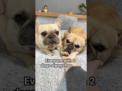 How Accurate Is This 😅 thumbnail