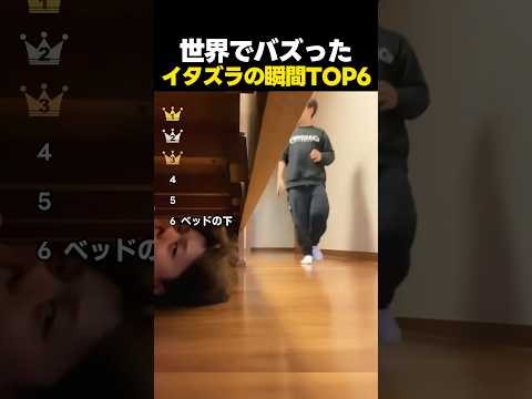 世界でバズった衝撃のイタズラTOP6！ thumbnail