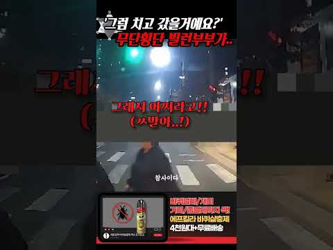 '그럼 치고 갔을거예요??' 무단횡단 빌런 부부가 적반하장 한다는 소리가.. thumbnail