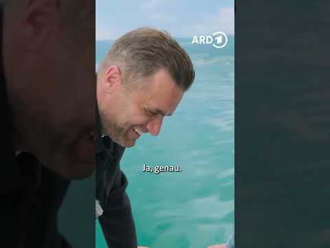 ⛺️⛵️ Glamping geht auch AUF dem Wasser | ARD Reisen #ardreisen #bodensee #glamping #shorts thumbnail