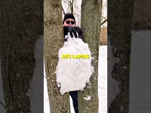 🐰 Il fabrique un faux lapin dans la neige pour attirer les vrais thumbnail