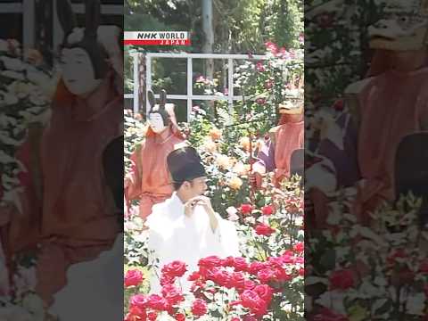 All roses at Nara’s Ryosenji TempleーNHK WORLD-JAPAN NEWS #shorts thumbnail
