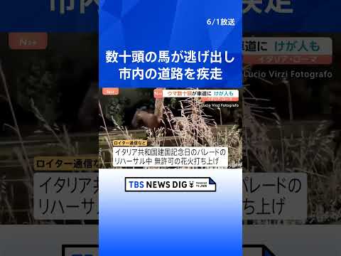 ローマで馬が逃げ出す 数十頭が道路を疾走　パレードのリハーサルで花火に驚いたか 馬から振り落とされた1人が重傷　イタリア｜TBS NEWS DIG#shorts thumbnail