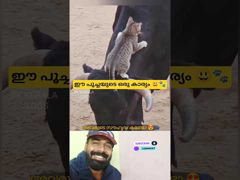 അവർ തമ്മിലുള്ള അടുപ്പം?? thumbnail
