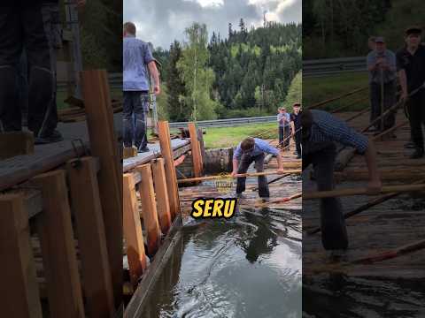 PERMAINAN SIMPLE Tapi SERU‼️😲 #seru #videoviral #permainan thumbnail