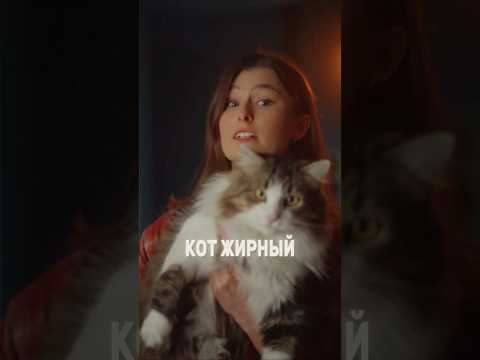 ЖИРНЫЙ КОТ thumbnail
