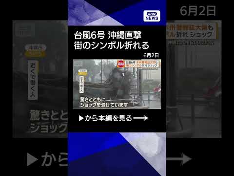 【ニュース】台風6号　沖縄直撃で停電や倒木被害　初のレベル3大雨警報発表　本州も警報級大雨警戒 #shorts thumbnail