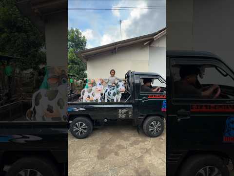 DE IJA NAIKIM SAPI KE MOBIL BUAT KURBAN thumbnail