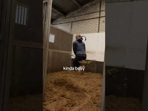 Busy cleaning 💩 #equestrian #horses #horse #horsegirl #pony #horserider #funnyhorse #funnyvideo thumbnail