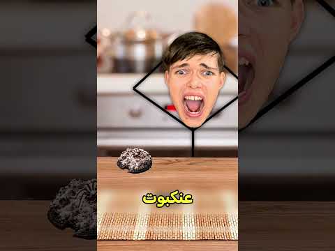 اشخاص لقو حيوانات في اكلهم 😱 #shortvideo thumbnail