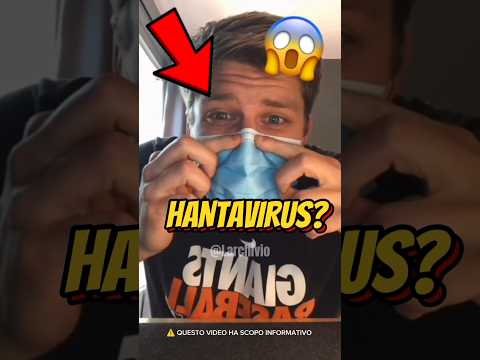 HANTAVIRUS - C'È DA PREOCCUPARSI? 😱 #curiosità #informative thumbnail