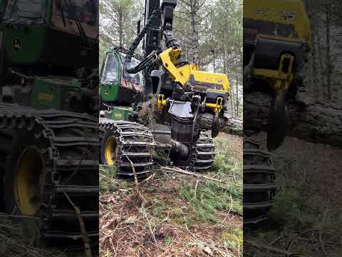 Harvester 1270G: the beast of the forest in action 🚜💪 #forest #harvester #johndeere #lumberjack thumbnail
