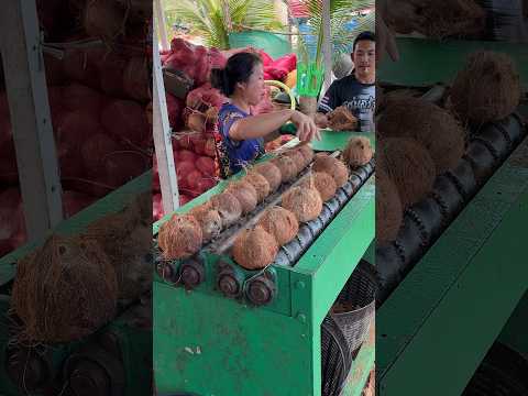How to Peel Dried Coconut - Fruit Cutting Skills thumbnail