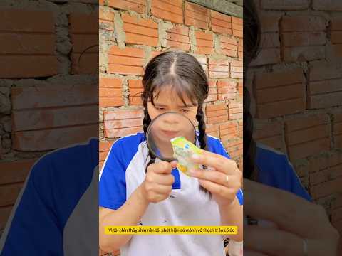 Tiểu Bông hiệu ứng Domino 64 ? #shorts thumbnail